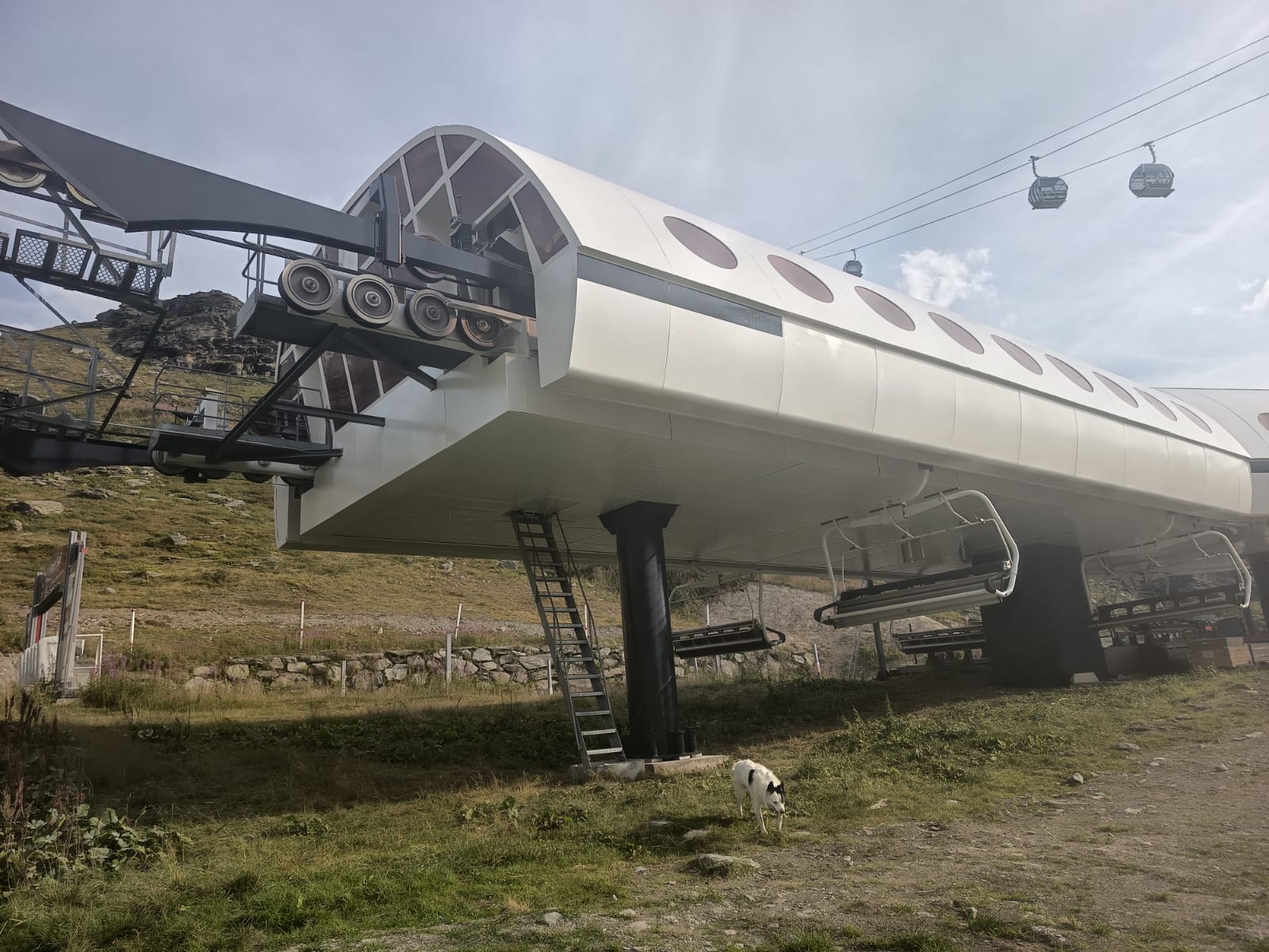 WhatsApp Image 2025-08-27 at 15.22.56